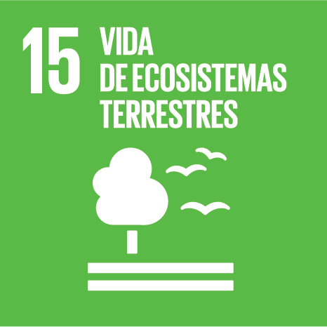 SDG_E_Individual Icons