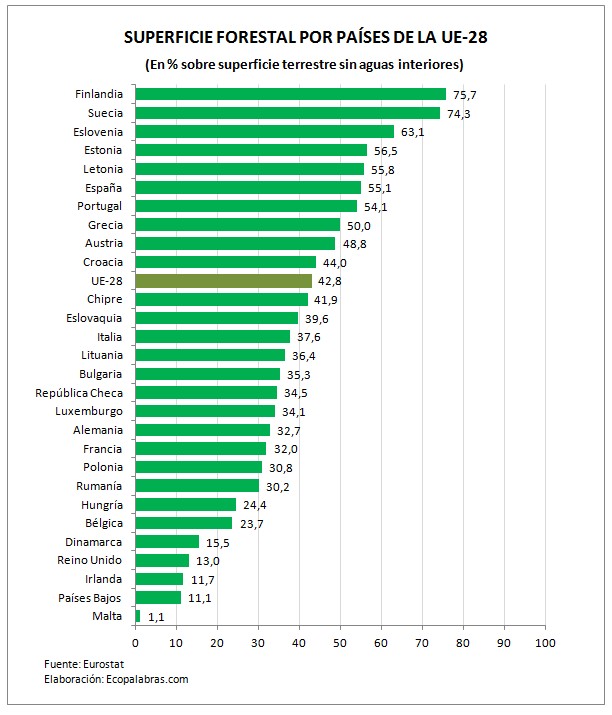 Gráfico_bosques_sup