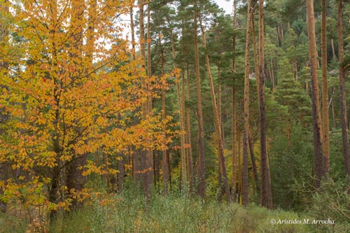 La Granja_Ruta_2015.09.11. España