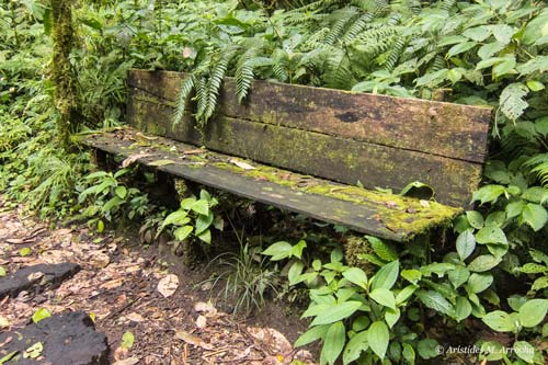 10. R. B. Sta. Elena