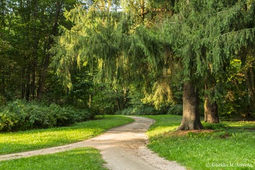 2. Bialowieza_29.08.2016