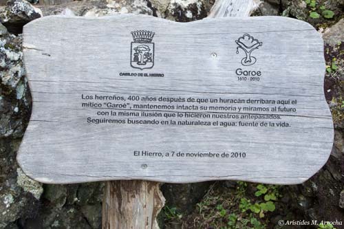 Camino Árbol Garoé_2015.04.02. El Hierro