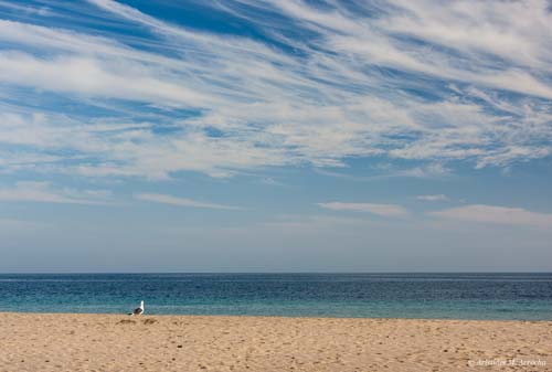 Fuerteventura, 2009.02.21-24