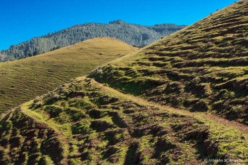 Ruta Cruz Tejeda-Cruz Cabezo-Tilos Moya_20130112