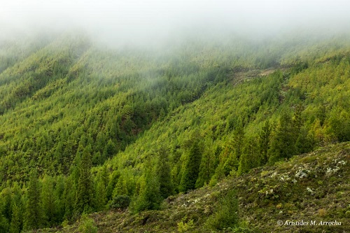 Isla de S. Miguel, Azores
