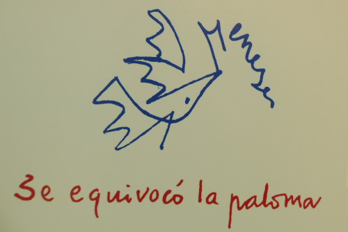 La paloma, en el verso de Rafael Alberti – ECOPALABRAS