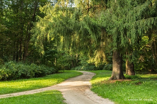 2. Bialowieza_29.08.2016. Polonia